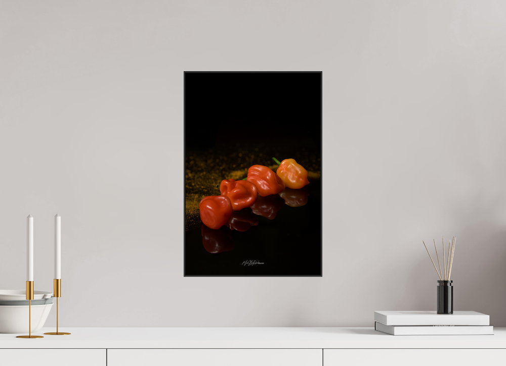 50 Shades of Chili aluminium artbox 45x30cm black frame wall mounted interior lifestyle display