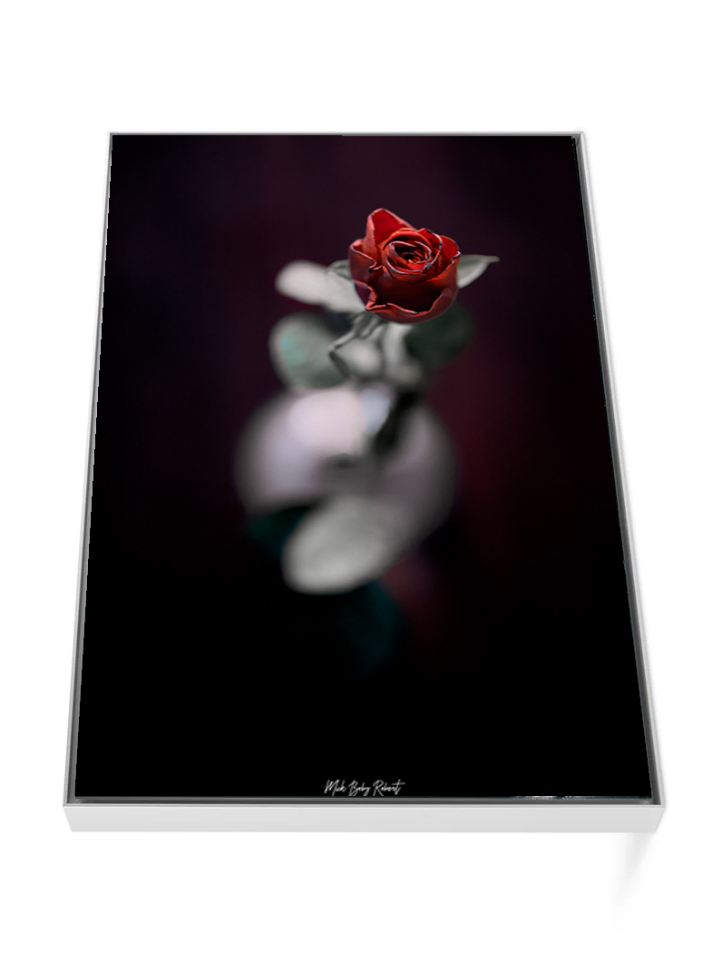 Valentine's Flower - Framed photo print in Aluminium ArtBox
