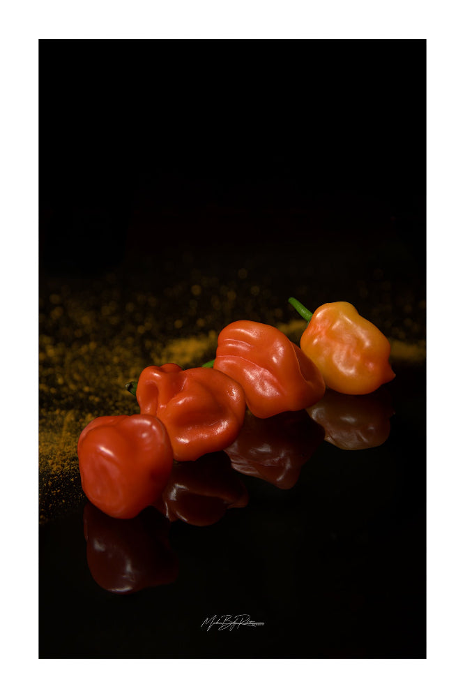 Hot chili pepper still life photo print 36x24cm Fuji Crystal DP2 glossy paper 250g 2cm white margin
