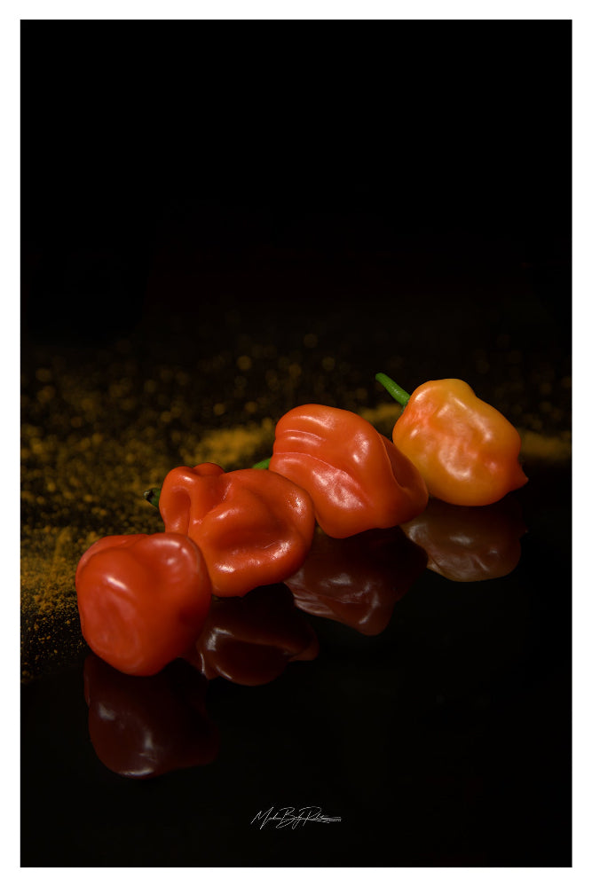 Hot chili pepper still life photo print 45x30cm Fuji Crystal DP2 glossy paper 250g 1cm white margin