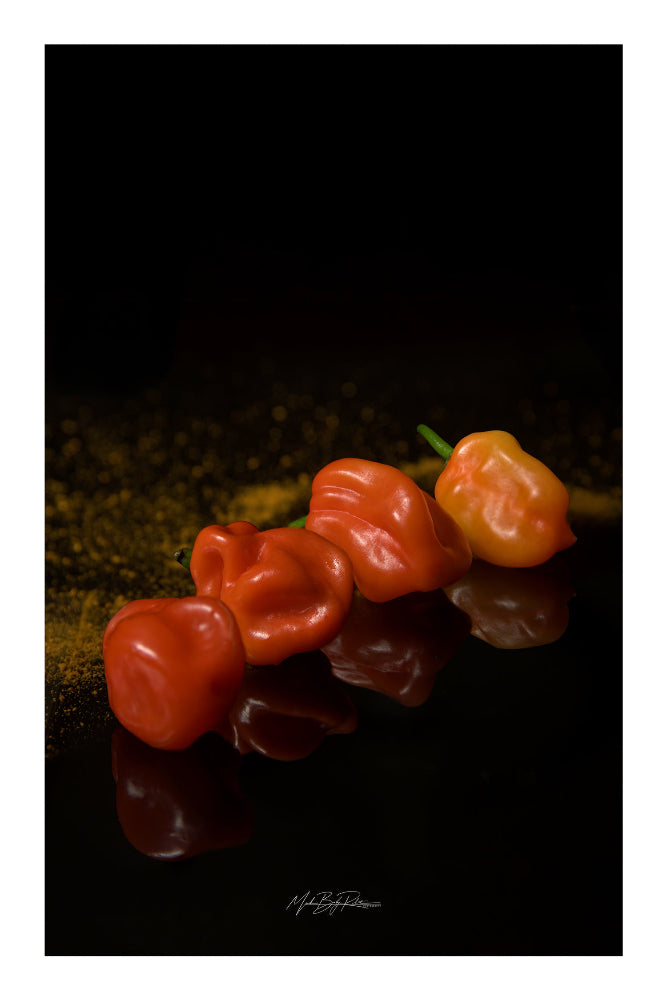 Hot Chili pepper still life photo print 45x30cm Fuji Crystal DP2 glossy paper 250g 2cm white margin