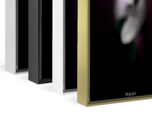 Valentine's rose aluminium artbox frame 4 color options black silver white gold stacked view