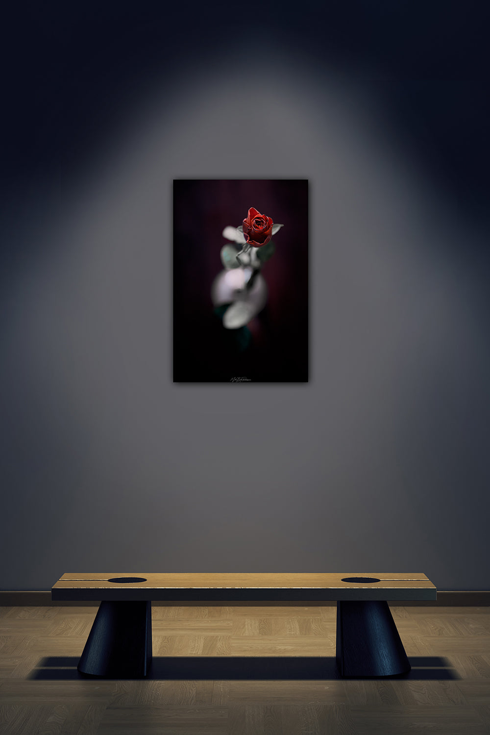 Valentine's red rose fine art framed photo print 45x30cm black aluminium flush frame