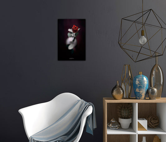 Valentine's red rose fine art print wall display in a modern interior with a white chair, geometric pendant light, and decorative vases against a dark wall.