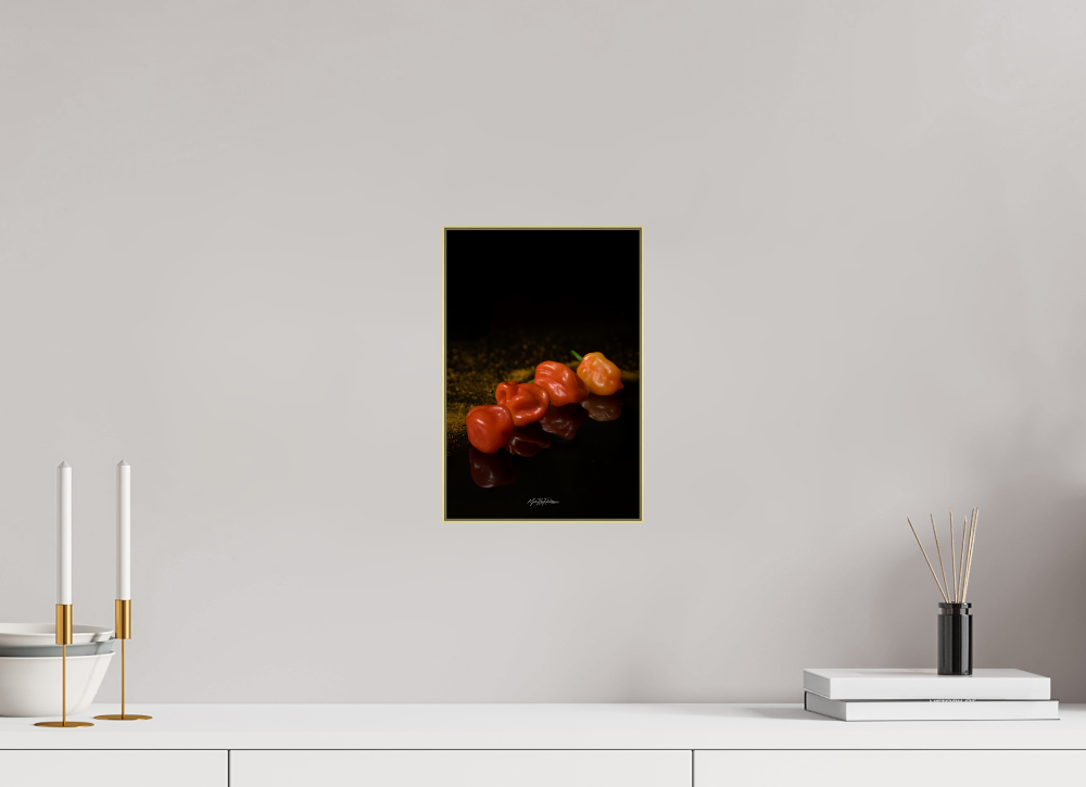 50 Shades of Chili aluminium artbox 30x20cm gold frame wall mounted interior lifestyle display