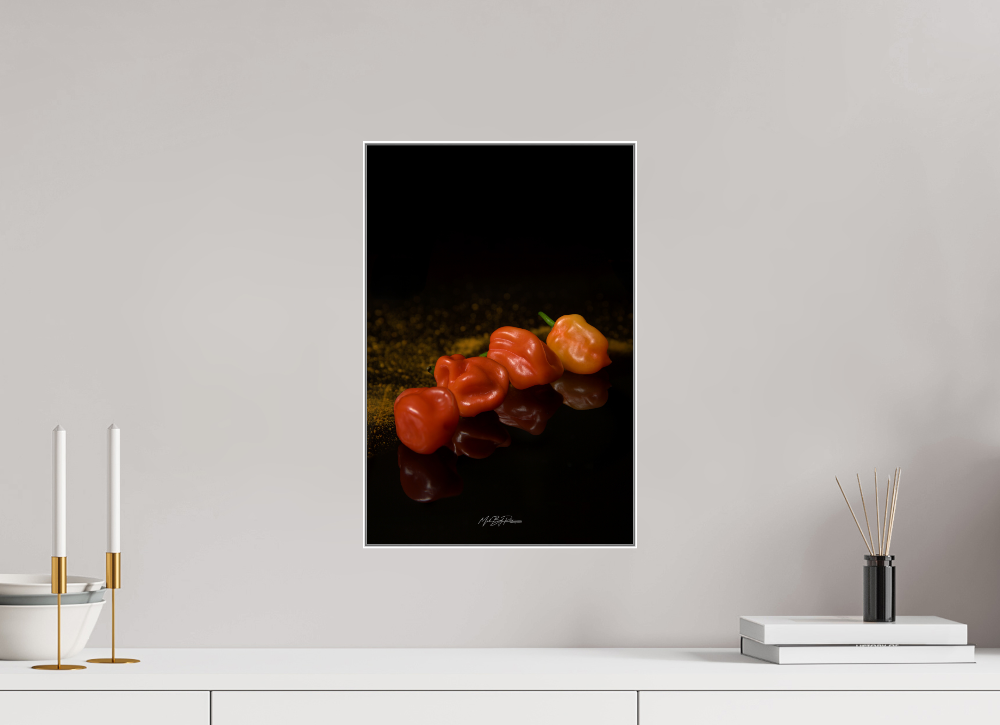 50 Shades of Chili aluminium artbox 45x30cm white frame wall mounted interior lifestyle display