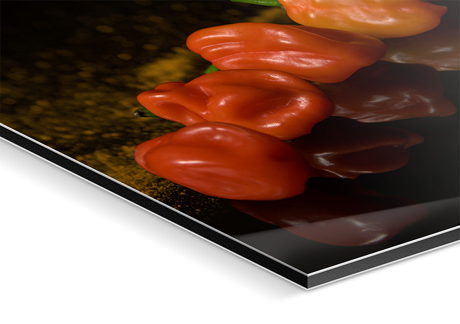 50 Shades of Chili mounted print adhesive protection dibond backing angled detail view