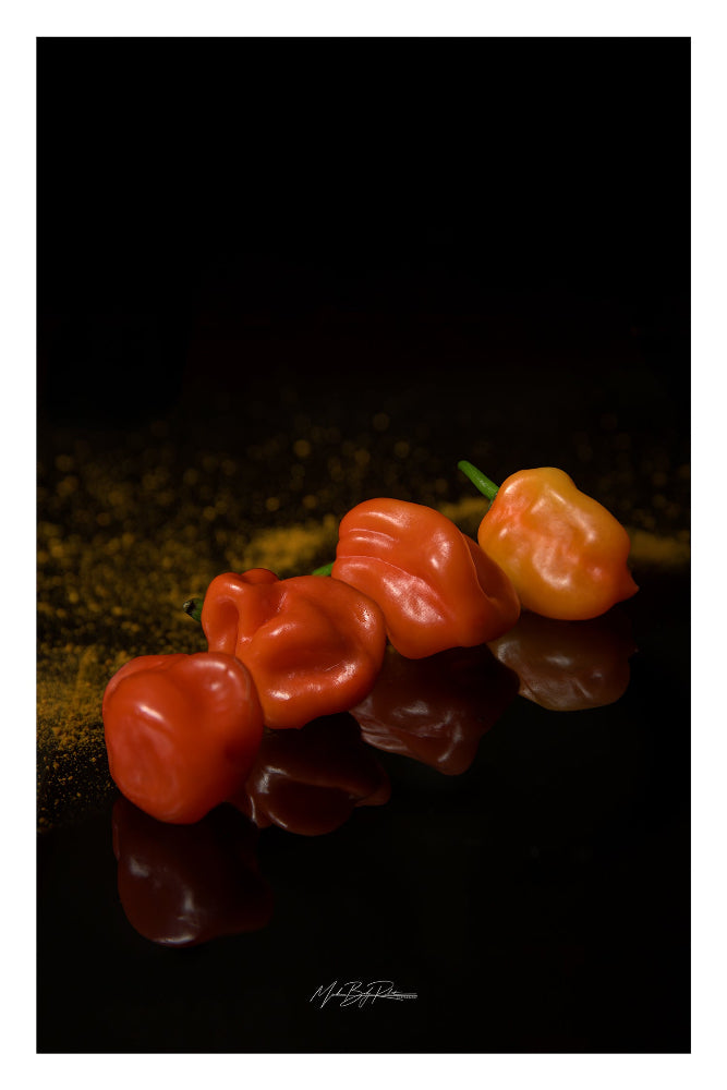 Hot chili pepper still life photo print 30x20cm Fuji Crystal DP2 glossy paper 250g 1cm white margin