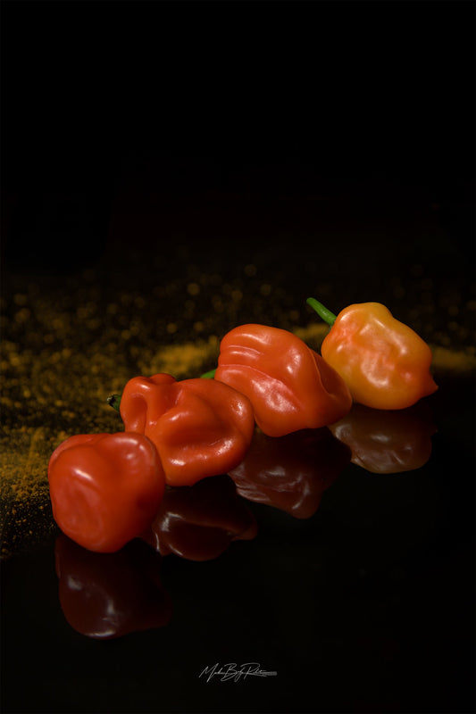 Hot chili peppers still life photography print Fuji Crystal Archive DP2 paper reflective surface