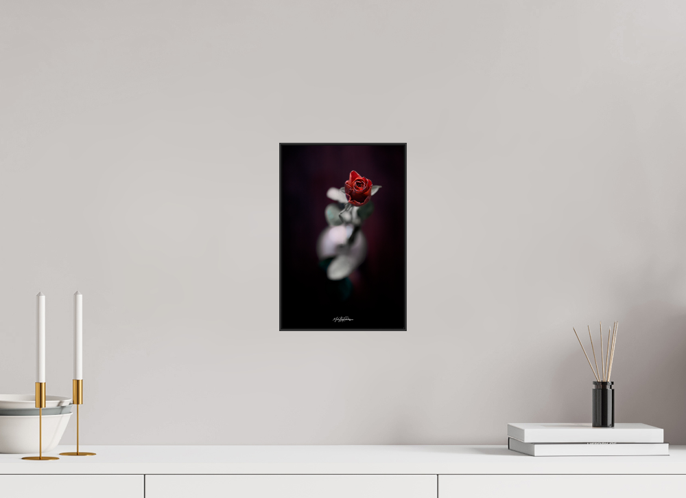 Valentine's rose aluminium artbox 30x20cm black frame wall mounted interior lifestyle display