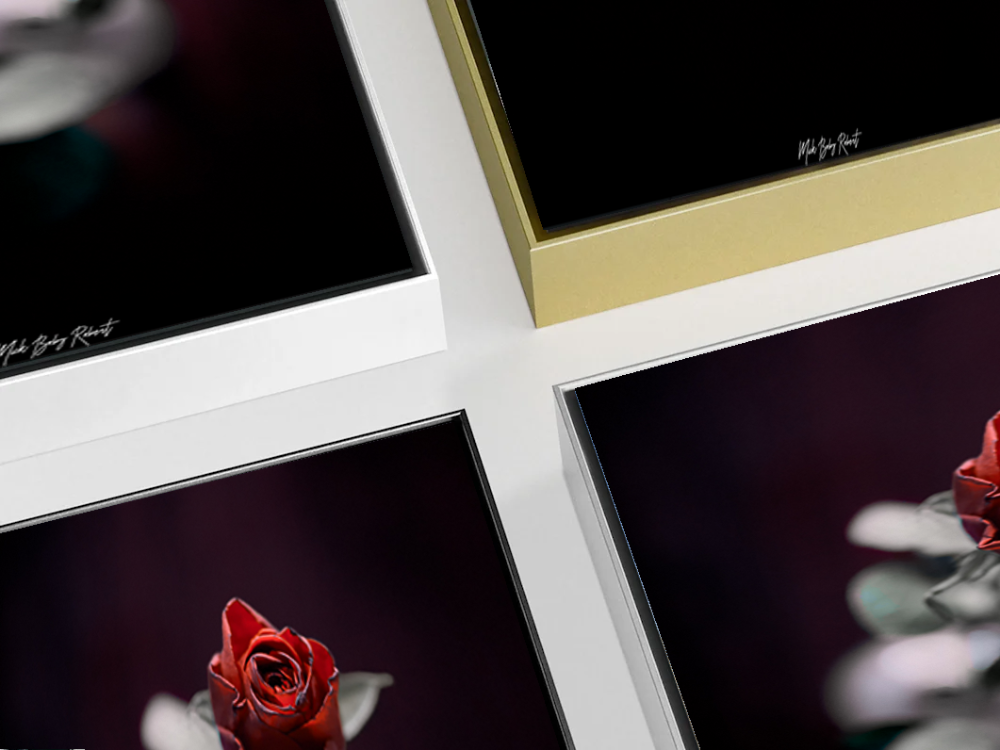Valentine's rose aluminium artbox frame color options top view grid layout black silver white gold
