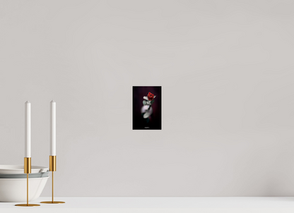 10 x 15 cm, Photo Print Under Acrylic Glass Valentine's Rose - Photo Print Dibond backing Acrylic Option