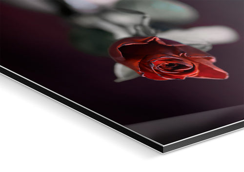 Frameless Dibond Backing 2mm